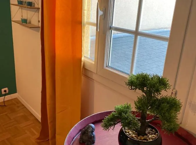 Le Rhin Et Danube Wifi * Le Mans